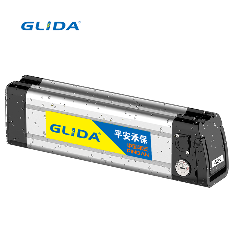 battery for bike electric 48v China Manufacturer