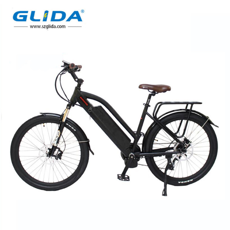 electrical bike battery 48v power packs China Manufacturer