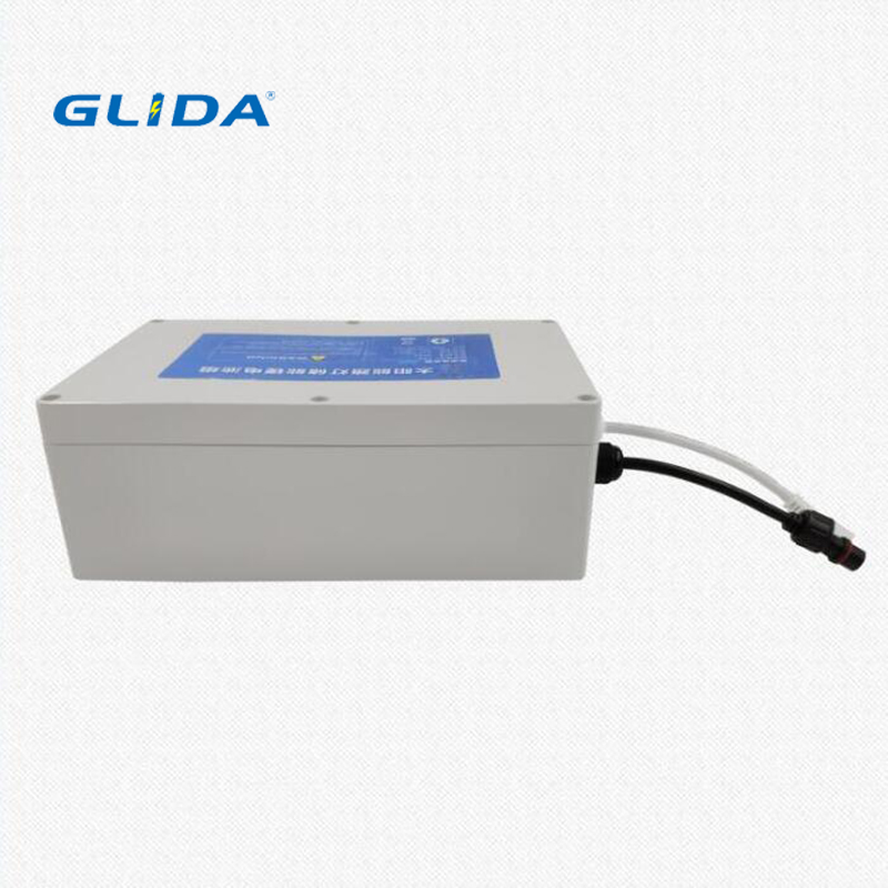 lifepo4 battery power bank japan brand China Manufacturer
